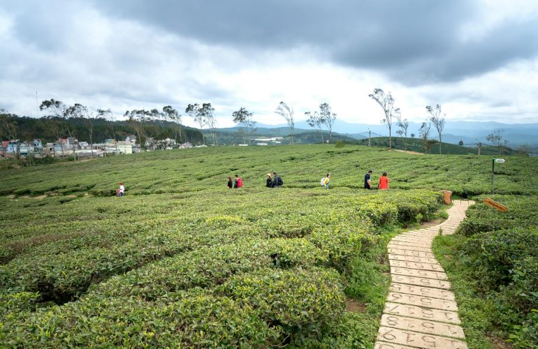 The Third National Communication of Climate Change in Sri Lanka highlights the need for structural and policy improvement to increase the
